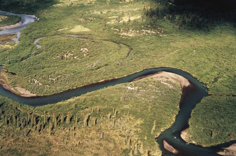 GettyImages-500635493.0.0